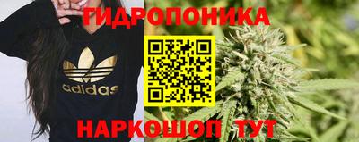 круглые Будённовск