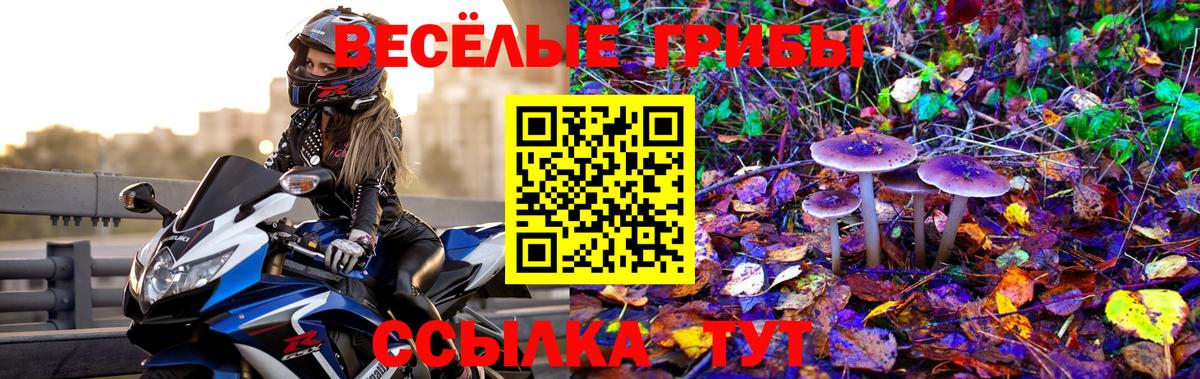Псилоцибиновые грибы прущие грибы  Галлюциногенные грибы Cubensis  Вход с VPN  Торжок 